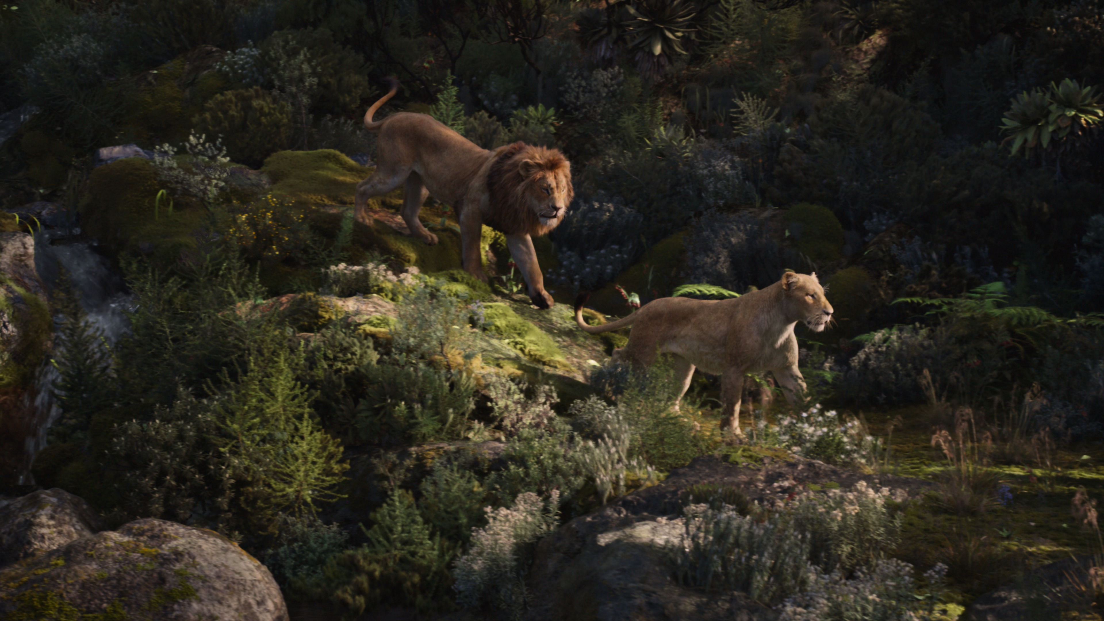 The Lion King 2019 UHD BluRay 2160p TrueHD Atmos.7.1 HEVC REMUX-FraMeSToR.
